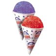 Sno-Kone, Sno-Cone, or Snow Cone. How ever you spell them, they are a nice cool treat when its hot outside. Rent a Sno-Kone machine for your summer event.
