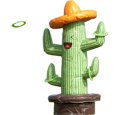 Cactus Ring Toss Inflatable Rental in Toronto, Mississauga, Brampton, Hamilton, Markham, Ontario
