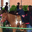 Pony Carousel Rides in Toronto, Hamilton, Kitchener, Brampton Ontario